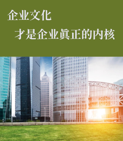 营销型官网与VR全景拍摄在本地企业展示中的应用分析